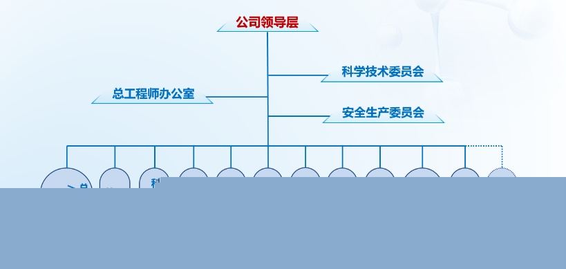 組織架構(gòu)3